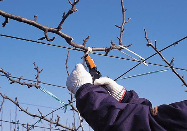 Подвязчик для кембрика MAX HR-F